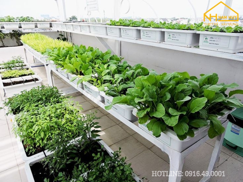 Ban Công Kết Hợp Trồng Rau Sạch, Tiện Dụng